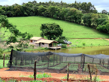 Familia Garcia - Brazil Origin Trip