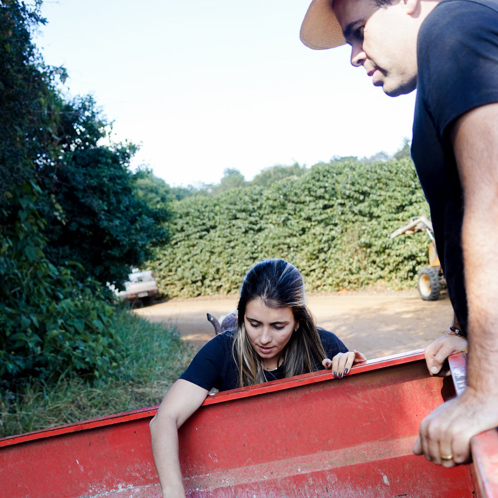 How we source our coffees