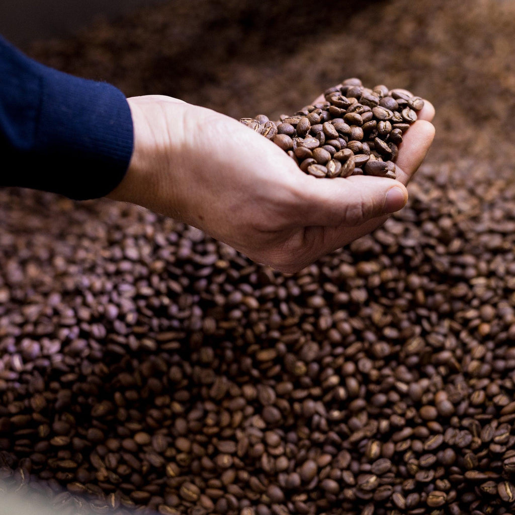 The Lucky Sip - Roasted Brown